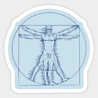 VITRUVIAN MANHATTAN - Watchmen Sticker